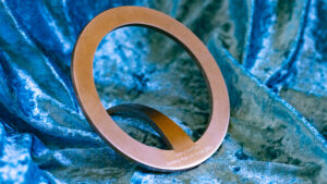 Lessing-Preis für Kritik 2024